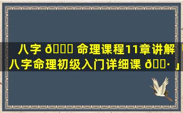 八字 🐟 命理课程11章讲解「八字命理初级入门详细课 🕷 」